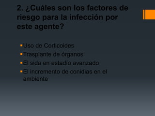 2. ¿Cuáles son los factores de
riesgo para la infección por
este agente?

Uso de Corticoides
Trasplante de órganos
El sida en estadío avanzado
El incremento de conidias en el
 ambiente
 