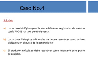 Solución
a) Los activos biológicos para la venta deben ser registradas de acuerdo
con la NIC 41 hasta el punto de venta;
b) Los activos biológicos adicionales se deben reconocer como activos
biológicos en el punto de la generación; y
c) El producto agrícola se debe reconocer como inventario en el punto
de cosecha.
Caso No.4
 