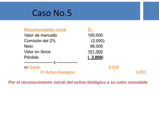 Reconocimiento inicial S/.
Valor de mercado 100,000
Comisión del 2% (2,000)
Neto 98,000
Valor en libros 101,000
Pérdida ( 3,000)
-------------------- x ---------------
66 Gasto 3,000
31 Activo biológico 3,000
Por el reconocimiento inicial del activo biológico a su valor razonable.
Caso No.5
 