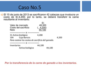 S/.
Valor de mercado 48,300
Costo del sacrificio ( 4,200)
Neto 44,100
-------------------- x ---------------
31 Activo biológico 4,200
104 Caja Bancos 4,200
Para costear los costos de sacrificio del ganado.
-------------------- x ---------------
Inventarios 44,100
Activo biológico 44,100
Caso No.5
c) El 15 de junio de 2013 se sacrificaron 42 cabezas que involucra un
costo de S/.4,200; por lo tanto, se deberá transferir la carne
resultante al inventario:
Por la transferencia de la carne de ganado a los inventarios.
 