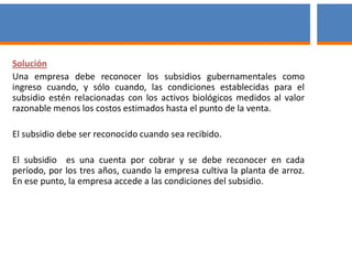 Solución
Una empresa debe reconocer los subsidios gubernamentales como
ingreso cuando, y sólo cuando, las condiciones establecidas para el
subsidio estén relacionadas con los activos biológicos medidos al valor
razonable menos los costos estimados hasta el punto de la venta.
El subsidio debe ser reconocido cuando sea recibido.
El subsidio es una cuenta por cobrar y se debe reconocer en cada
período, por los tres años, cuando la empresa cultiva la planta de arroz.
En ese punto, la empresa accede a las condiciones del subsidio.
Caso No.6
 