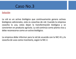 Solución
La vid es un activo biológico que continuamente genera activos
biológicos adicionales, esto es cosechas de vid. Cuando la empresa
cosecha la uva, estos dejan la transformación biológica y se
convierten en producto agrícola. La vid continúa como planta viva y
debe reconocerse como un activo biológico.
La empresa debe informar para la vid de acuerdo con la NIC 41 y la
cosecha de uvas como inventario, según la NIC 2.
Caso No.3
 
