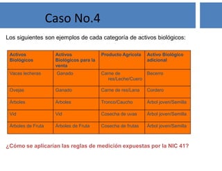Activos
Biológicos
Activos
Biológicos para la
venta
Producto Agrícola Activo Biológico
adicional
Vacas lecheras Ganado Carne de
res/Leche/Cuero
Becerro
Ovejas Ganado Carne de res/Lana Cordero
Árboles Árboles Tronco/Caucho Árbol joven/Semilla
Vid Vid Cosecha de uvas Árbol joven/Semilla
Árboles de Fruta Árboles de Fruta Cosecha de frutas Árbol joven/Semilla
Los siguientes son ejemplos de cada categoría de activos biológicos:
¿Cómo se aplicarían las reglas de medición expuestas por la NIC 41?
Caso No.4
 