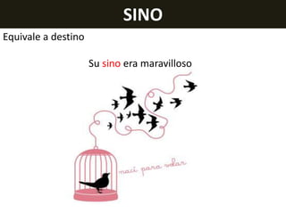 SINO
Equivale a destino
Su sino era maravilloso

 