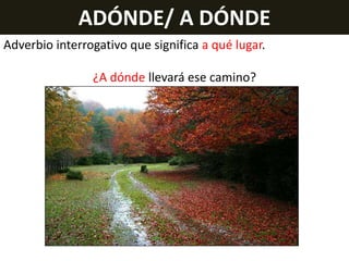 ADÓNDE/ A DÓNDE
Adverbio interrogativo que significa a qué lugar.
¿A dónde llevará ese camino?

 