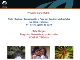 Proyecto Suruí REDD+

Taller Regional: Compensación y Pago por Servicios Ambientales
                      La Ceiba, Honduras
                   9 – 13 de agosto de 2010


                      Beto Borges
            Programa Comunidades y Mercados
                   FOREST TRENDS
 