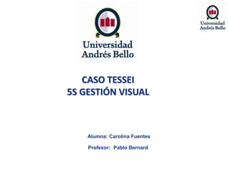 CASO TESSEI
5S GESTIÓN VISUAL
Alumna: Carolina Fuentes
Profesor: Pablo Bernard
 