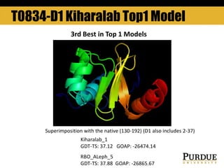 T0834-D1 Kiharalab Top1 Model
3rd Best in Top 1 Models
Kiharalab_1
GDT-TS: 37.12 GOAP: -26474.14
RBO_ALeph_5
GDT-TS: 37.88 GOAP: -26865.67
Superimposition with the native (130-192) (D1 also includes 2-37)
 