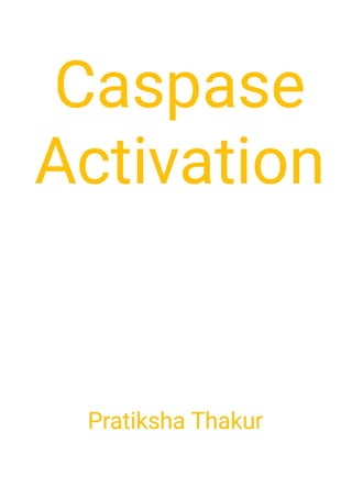 Caspase Activation Pathway 