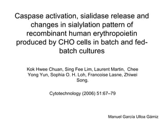 Caspase activation, sialidase release and
changes in sialylation pattern of
recombinant human erythropoietin
produced by CHO cells in batch and fed-
batch cultures
Kok Hwee Chuan, Sing Fee Lim, Laurent Martin, Chee
Yong Yun, Sophia O. H. Loh, Francoise Lasne, Zhiwei
Song.
Cytotechnology (2006) 51:67–79
Manuel García Ulloa Gámiz
 