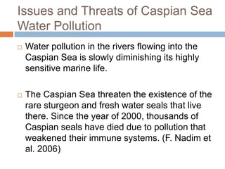 Issues and Threats of Caspian Sea
Water Pollution
 Water pollution in the rivers flowing into the
Caspian Sea is slowly diminishing its highly
sensitive marine life.
 The Caspian Sea threaten the existence of the
rare sturgeon and fresh water seals that live
there. Since the year of 2000, thousands of
Caspian seals have died due to pollution that
weakened their immune systems. (F. Nadim et
al. 2006)
 