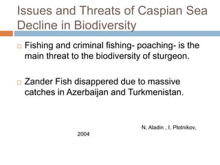 Issues and Threats of Caspian Sea
Decline in Biodiversity
 Fishing and criminal fishing- poaching- is the
main threat to the biodiversity of sturgeon.
 Zander Fish disappered due to massive
catches in Azerbaijan and Turkmenistan.
N. Aladin , I. Plotnikov,
2004
 