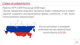 СТАВКА НА АКВАКУЛЬТУРУ
11
Россия рапортует о рекордах
рыболовства при критическом
износе флота в 91,5%
Прогноз НТР в АПК России до 2030 года:
“рынок продукции морского промысла будет сокращаться и нужно
заранее создавать альтернативные формы занятости, в том числе
путем развития аквакультуры”
 