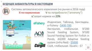 Индонезия, Тайланд, Бангладеш.
e-Fishery - $400-700.
Австралия, глобальная. SF200
Sound Feeding System, SF500
Sound Feeding System for Finfish in
Ponds, AQ300 Adaptive feeding
system (Infra Red) - $5000
США, глобальная. iQuatic - $? 04
Системы автоматического кормления (на рынке в 2016 году)
Х по нормативам V по потребности (“аппетиту”)
↙затрат кормов на 20%
 