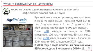 Крупнейшее в мире производство протеина
и жира из насекомых - личинки мухи BSF (5
тыс.т/год протеина и 3 тыс.т/год жира). На
этой основе производят корма для форели.
План: +20 заводов в Канаде и США
(мощность 100 тыс.т протеина, 60 тыс.т жира
в год), +100 заводов в Австралии и Европе до
2024 года и +100 заводов до 2027 года.
В 2008 году в мире протеин из личинки мухи
BSF производила 1 компания, в 2016 – 16.
БУДУЩЕЕ АКВАКУЛЬТУРЫ В НАСТОЯЩЕМ
06
Корма на основе альтернативных источников протеина
Эффективная замена рыбной муки
 