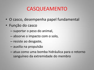 CASQUEAMENTO
• O casco, desempenha papel fundamental
• Função do casco
– suportar o peso do animal,
– absorve o impacto com o solo,
– resiste ao desgaste,
– auxilia na propulsão
– atua como uma bomba hidráulica para o retorno
sanguíneo da extremidade do membro
 