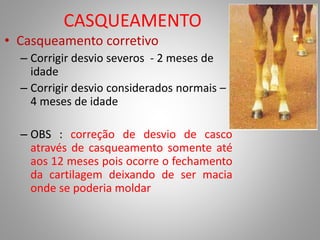 CASQUEAMENTO
• Casqueamento corretivo
– Corrigir desvio severos - 2 meses de
idade
– Corrigir desvio considerados normais –
4 meses de idade
– OBS : correção de desvio de casco
através de casqueamento somente até
aos 12 meses pois ocorre o fechamento
da cartilagem deixando de ser macia
onde se poderia moldar
 