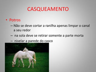 CASQUEAMENTO
• Potros
– Não se deve cortar a ranilha apenas limpar o canal
a seu redor
– na sola deve se retirar somente a parte morta
– nivelar a parede do casco
 