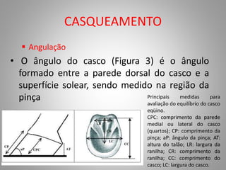 CASQUEAMENTO
 Angulação
• O ângulo do casco (Figura 3) é o ângulo
formado entre a parede dorsal do casco e a
superfície solear, sendo medido na região da
pinça Principais medidas para
avaliação do equilíbrio do casco
eqüino.
CPC: comprimento da parede
medial ou lateral do casco
(quartos); CP: comprimento da
pinça; aP: ângulo da pinça; AT:
altura do talão; LR: largura da
ranilha; CR: comprimento da
ranilha; CC: comprimento do
casco; LC: largura do casco.
 