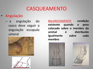CASQUEAMENTO
• Angulação
– a angulação do
casco deve seguir a
angulação escapulo
umeral
BALANCEAMENTO - condição
existente quando o peso
colocado sobre o membro do
animal é distribuído
igualmente sobre cada
membro
 