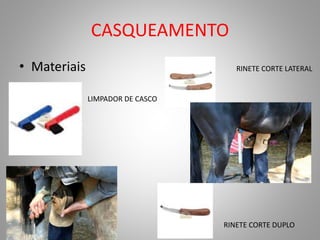 CASQUEAMENTO
• Materiais
LIMPADOR DE CASCO
RINETE CORTE LATERAL
RINETE CORTE DUPLO
 