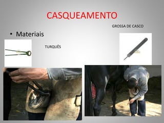 CASQUEAMENTO
• Materiais
GROSSA DE CASCO
TURQUÊS
 
