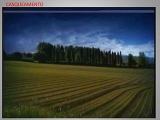 CASQUEAMENTO
 