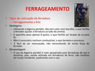 FERRAGEAMENTO
• Tipos de colocação da ferradura
– Ferrageamento a frio
• Vantagens
– Utilizando a bigorna portátil, não tem calor nem barulho, o que facilita
o ferrador ajustar a ferradura ao lado do animal;
– O aparelho pesa apenas 8 quilos, o que facilita ser levado de cá para
lá;
– Não é necessário nenhum combustível, o que barateia o processo;
– É fácil de ser manuseada, não necessitando de muita força do
ferrador.
• Desvantagem
– O uso da bigorna portátil é mais apropriado para ferraduras de aço e
alumínio, pois, sendo utilizada em ferraduras de ferro, não mostrou
ser muito resistente, quebrando com o uso.
 