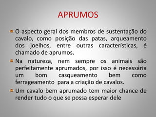 APRUMOS
O aspecto geral dos membros de sustentação do
cavalo, como posição das patas, arqueamento
dos joelhos, entre outras características, é
chamado de aprumos.
Na natureza, nem sempre os animais são
perfeitamente aprumados, por isso é necessária
um bom casqueamento bem como
ferrageamento para a criação de cavalos.
Um cavalo bem aprumado tem maior chance de
render tudo o que se possa esperar dele
 