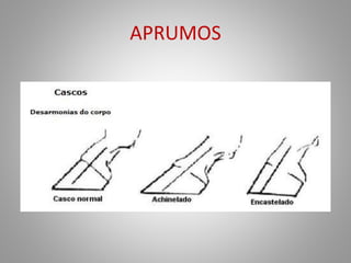 APRUMOS
 