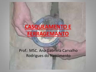 CASQUEAMENTO E
FERRAGEMANTO
Prof.: MSC. Ana Gabriela Carvalho
Rodrigues do Nascimento
 