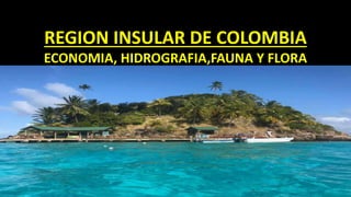REGION INSULAR DE COLOMBIA
ECONOMIA, HIDROGRAFIA,FAUNA Y FLORA
Jamundí Valle del Cauca, noviembre 02 del 2021
 