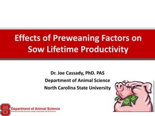 Effects of Preweaning Factors on
    Sow Lifetime Productivity

         Dr. Joe Cassady, PhD. PAS
       Department of Animal Science
       North Carolina State University
 