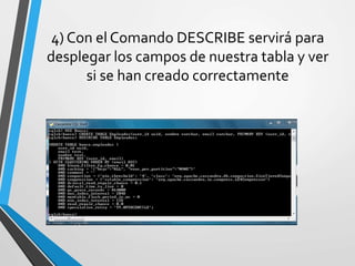 4) Con el Comando DESCRIBE servirá para
desplegar los campos de nuestra tabla y ver
si se han creado correctamente
 