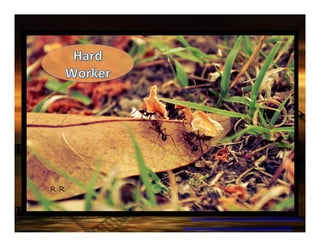 h"p://pixabay.com/en/ﬁlmstrip-­‐slide-­‐show-­‐presenta9on-­‐408992/	
 
	
 
h"ps://www.ﬂickr.com/photos/ecovirtual/6643215491/in/photolist	
 
	
 
 