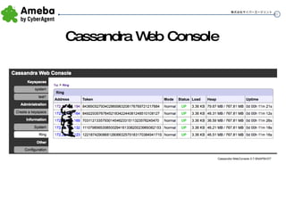 Cassandra Web Console 