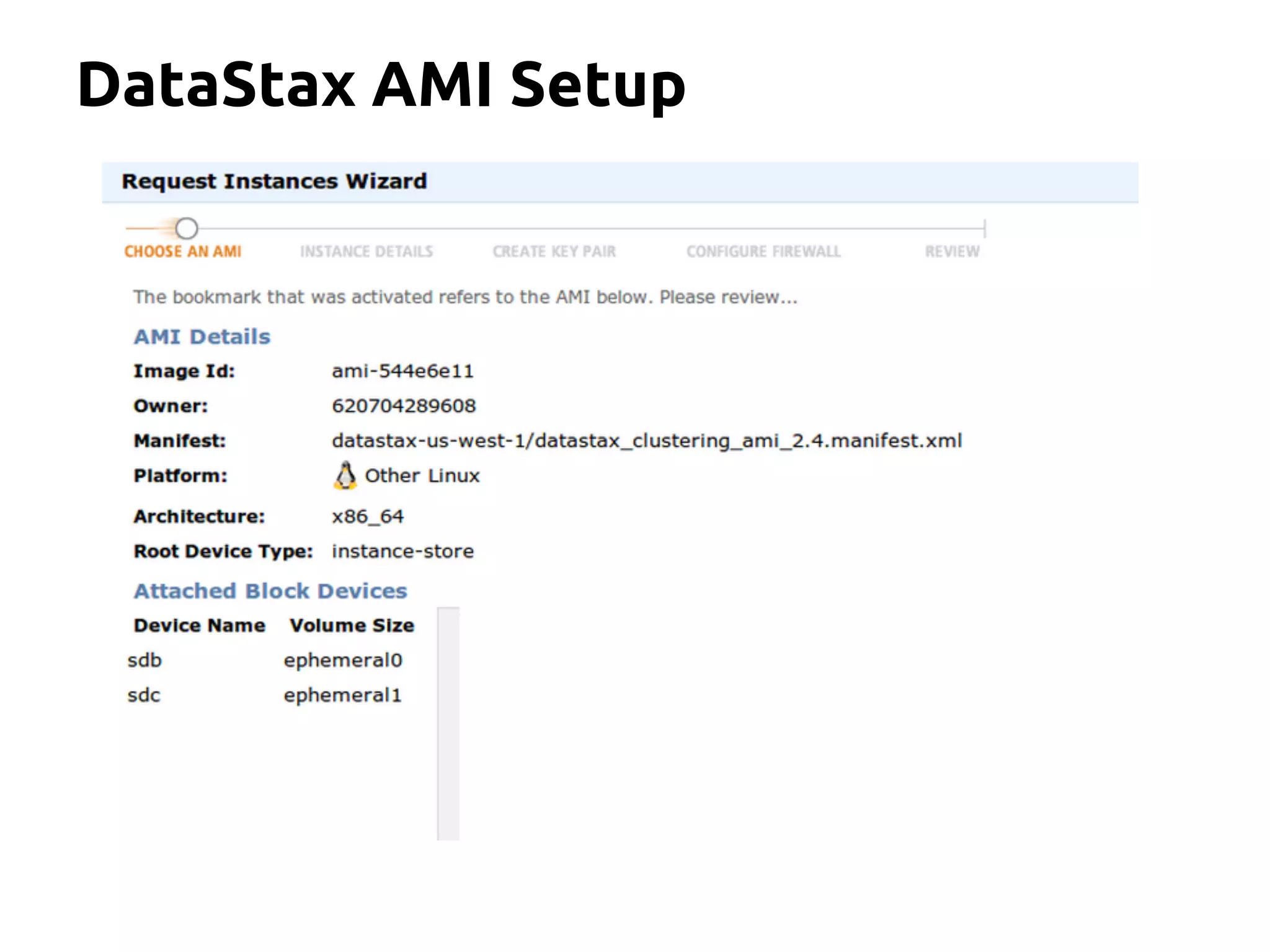 DataStax AMI Setup
 