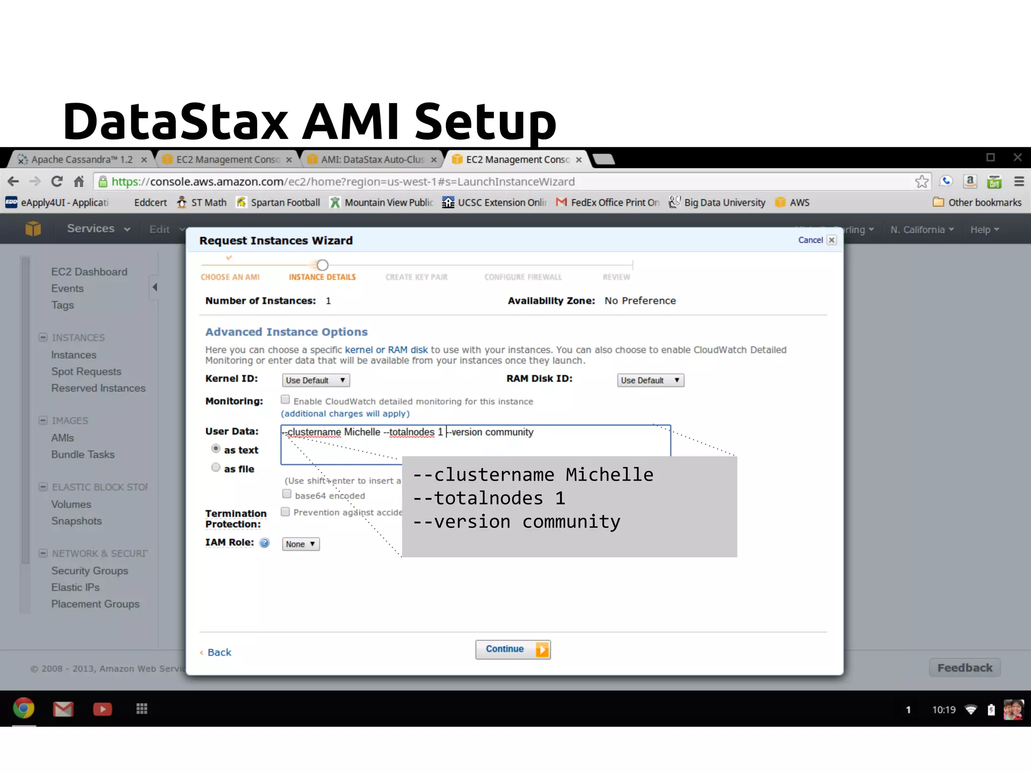 DataStax AMI Setup
--clustername Michelle
--totalnodes 1
--version community
 