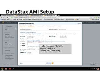 DataStax AMI Setup
--clustername Michelle
--totalnodes 1
--version community
 