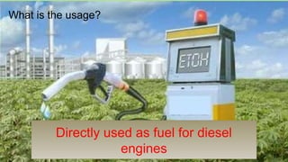 Directly used as fuel for diesel
engines
What is the usage?
18
 