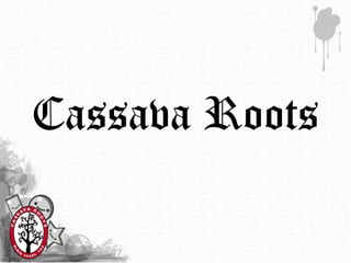Cassava Roots
 