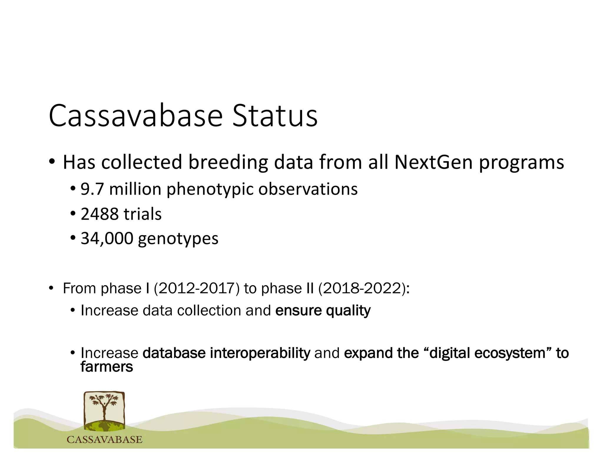 Cassavabase Status
• Has collected breeding data from all NextGen programs
• 9.7 million phenotypic observations
• 2488 trials
• 34,000 genotypes
• From phase I (2012-2017) to phase II (2018-2022):
• Increase data collection and ensure quality
• Increase database interoperability and expand the “digital ecosystem” to
farmers
 