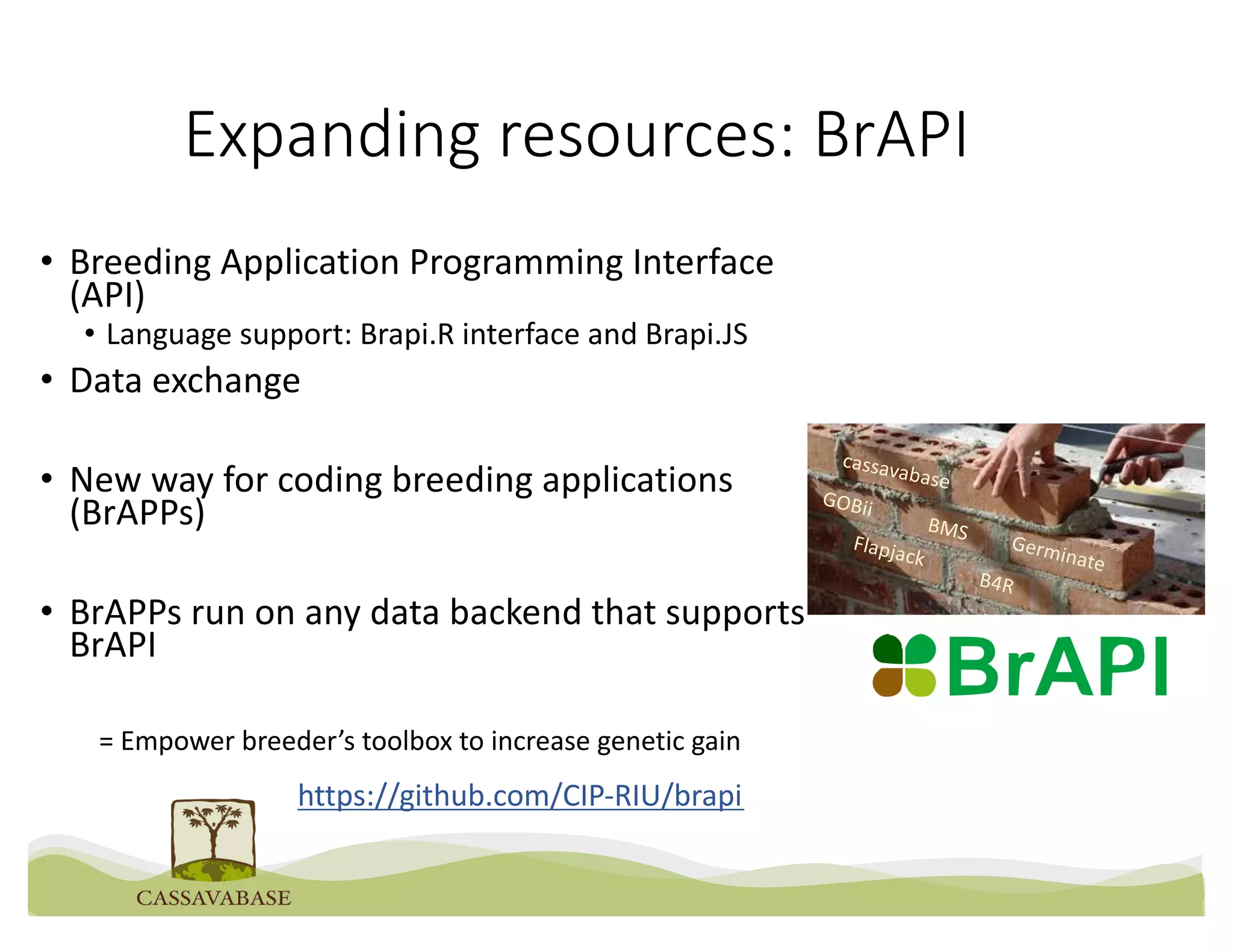 Expanding resources: BrAPI
• Breeding Application Programming Interface
(API)
• Language support: Brapi.R interface and Brapi.JS
• Data exchange
• New way for coding breeding applications
(BrAPPs)
• BrAPPs run on any data backend that supports
BrAPI
cassavabase
BMS
GOBii
Flapjack
Germinate
B4R
= Empower breeder’s toolbox to increase genetic gain
https://github.com/CIP-RIU/brapi
 