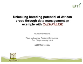 Unlocking breeding potential of African
crops through data management an
example with CASSAVABASE
Guillaume Bauchet
Plant and Animal Genome Conference
San Diego January 2016
gjb99@cornell.edu
 
