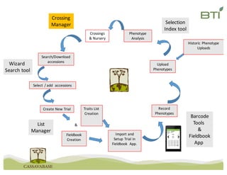 Create	New	Trial
Fieldbook
Creation
Traits	List	
Creation
Record
Phenotypes
Import	and	
Setup	Trial	in	
Fieldbook	 App.
&
Upload	
Phenotypes
Historic	Phenotype	
Uploads
Phenotype
Analysis
Crossings	
&	Nursery
Search/Download	
accessions
List
Manager
Barcode
Tools	
&
Fieldbook
App	
Crossing
Manager Selection
Index	tool
Wizard	
Search	tool
Select	/	add		accessions
 