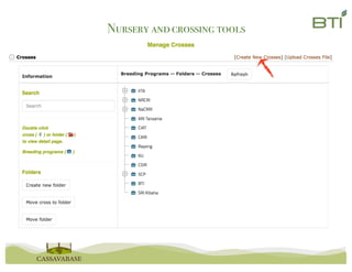 Nursery andcrossing tools
 