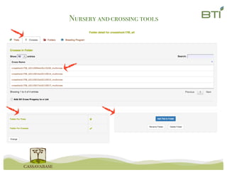 Nursery andcrossing tools
 