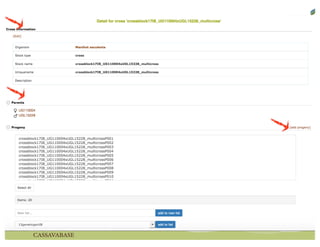 Nursery andcrossing tools
 