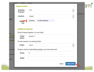 Nursery andcrossing tools
 
