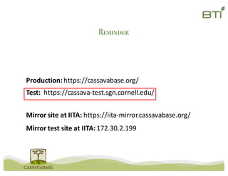 Reminder
Mirror	site	at	IITA:	https://iita-mirror.cassavabase.org/
Mirror	test	site	at	IITA:	172.30.2.199
Production:	https://cassavabase.org/
Test:		https://cassava-test.sgn.cornell.edu/
 